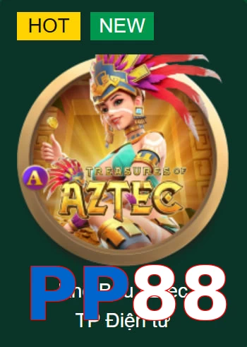 PP88